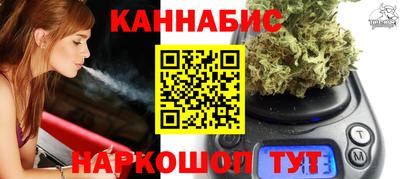 шишки Кандалакша