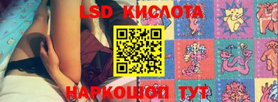 шишки Кандалакша