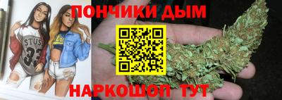 шишки Кандалакша
