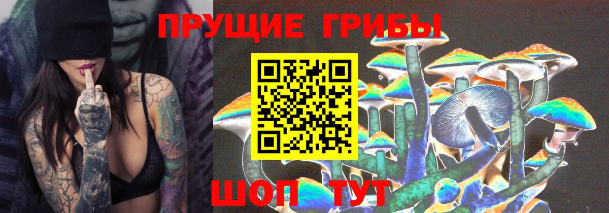 Галлюциногенные грибы MAGIC MUSHROOMS  Псилоцибиновые грибы прущие грибы  Магнитогорск  Вход с VPN 